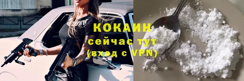 Cocaine Fish Scale  купить   Новая Ляля 